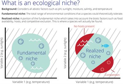 Novel Methods in Disease Biogeography: A Case Study with Heterosporosis